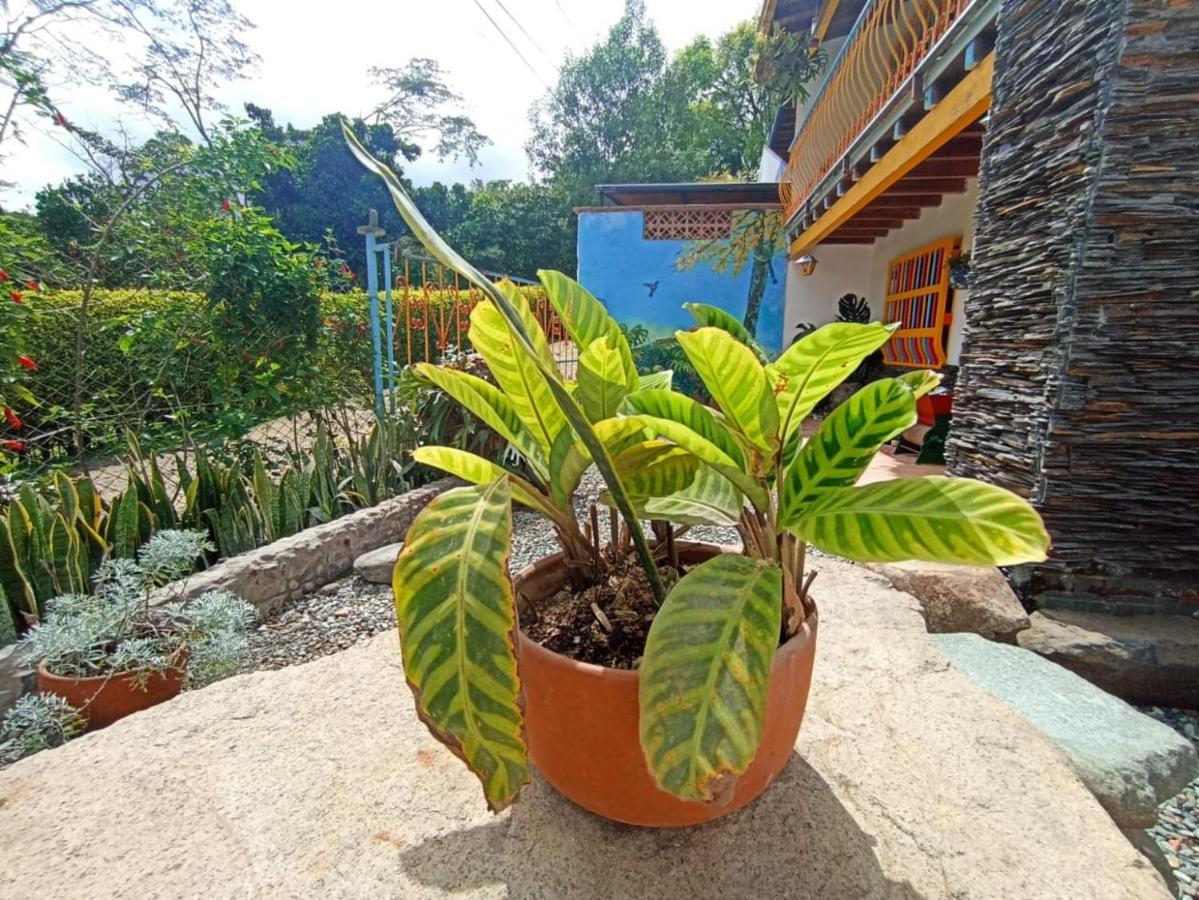 Casa De Las Rocas Hostel Jardin Exterior photo